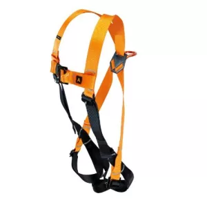 Harnais antichute NUS55 2 points EN 361